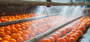 Prácticas Sostenibles en la Industria Alimentaria: El Rol Clave del Data Logger